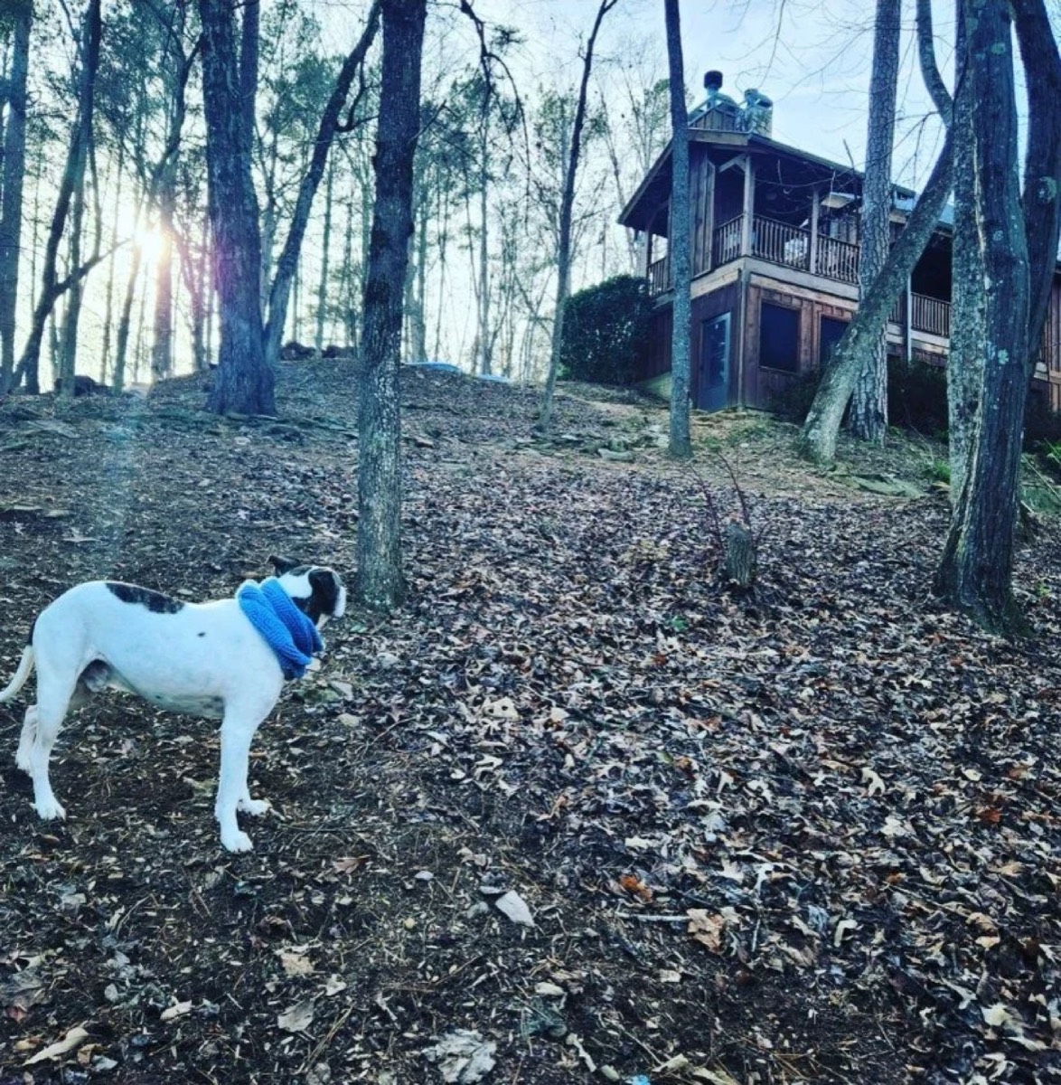 Lessons in Resilience from My Best Friend